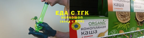 гашик Богданович