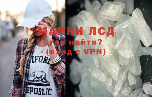 гашик Богданович