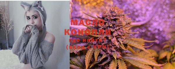 гашик Богданович