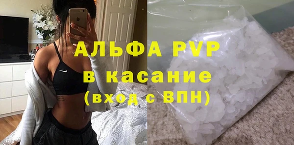 гашик Богданович