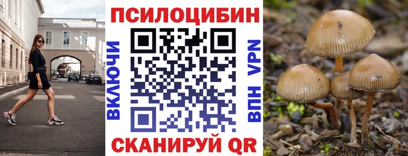 Псилоцибиновые грибы Cubensis  купить закладку  Нариманов 
